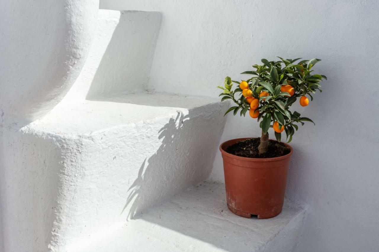 Villa Casa Do Pescador By Ammonite&Co à Olhão Extérieur photo